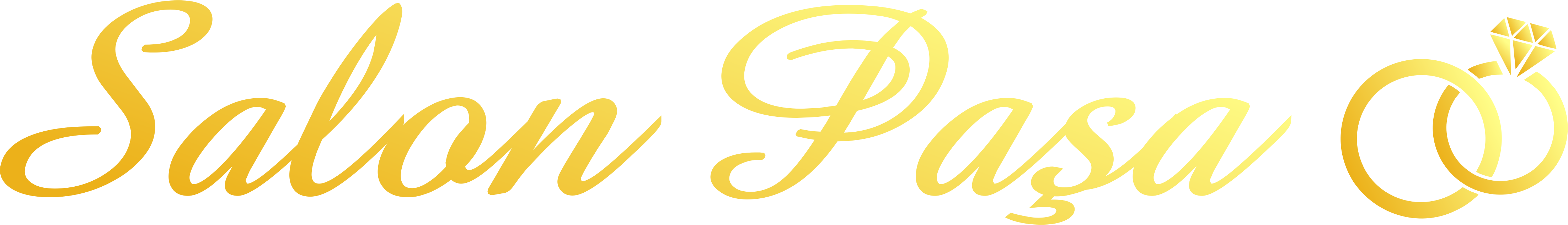 Salon Paşa